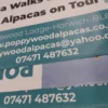 PVC Banners