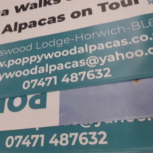 PVC Banners