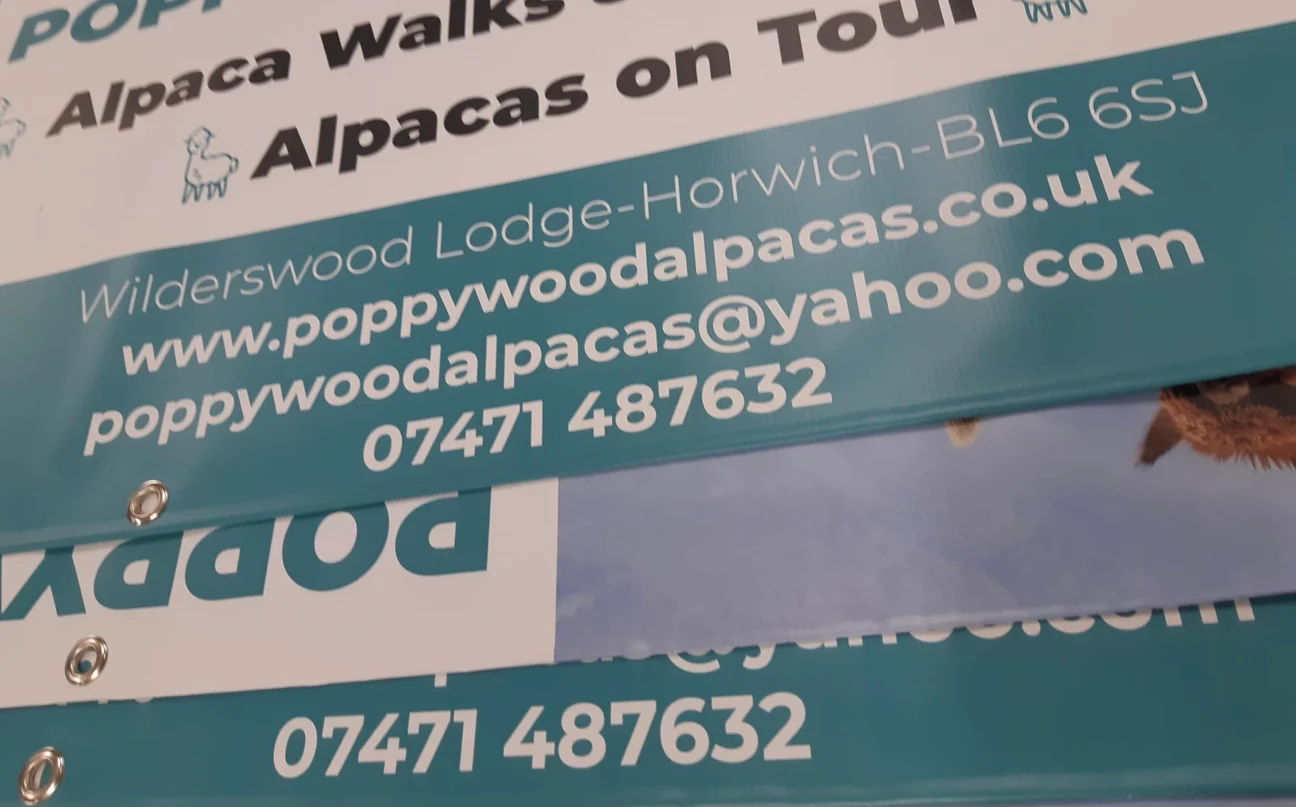 PVC Banners